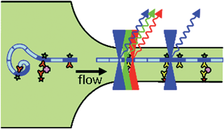 Graphical abstract: A microfluidic chip-compatible bioassay based on single-molecule detection with high sensitivity and multiplexing