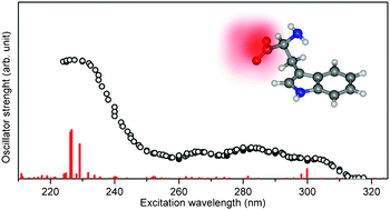 Graphical abstract: Photodetachment of tryptophan anion: an optical probe of remote electron