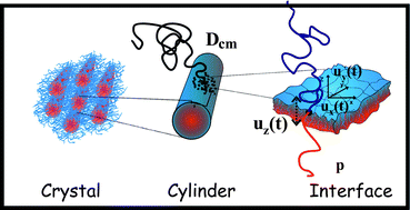 Graphical abstract: Polymer dynamics under soft confinement in a self-assembled system