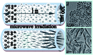 Graphical abstract: Facile crystallization control of LaF3/LaPO4:Ce, Tb nanocrystals in a microfluidic reactor using microwave irradiation