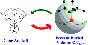 Graphical abstract: Percent buried volume for phosphine and N-heterocyclic carbene ligands: steric properties in organometallic chemistry