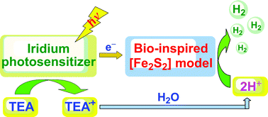 Graphical abstract: Homogeneous photocatalytic production of hydrogen from water by a bioinspired [Fe2S2] catalyst with high turnover numbers