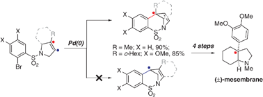 Graphical abstract: Selective generation of quaternary all-carbon-centres through Heck-cyclisations: synthesis of mesembrane