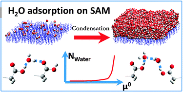 Graphical abstract: Water adsorption on hydrophilic and hydrophobic self-assembled monolayers as proxies for atmospheric surfaces. A grand canonical Monte Carlo simulation study