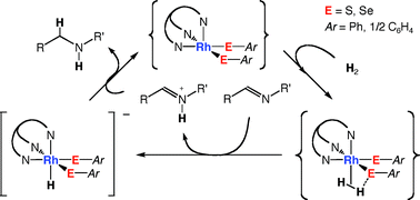 Graphical abstract: Heterolytic H2 activation by rhodium thiolato complexes bearing the hydrotris(pyrazolyl)borato ligand and application to catalytic hydrogenation under mild conditions