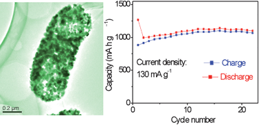 Graphical abstract: Anisotropic Co3O4 porous nanocapsules toward high-capacity Li-ion batteries