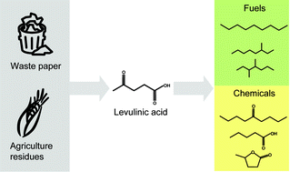 Graphical abstract: Catalytic upgrading of levulinic acid to 5-nonanone