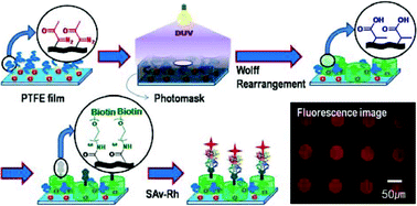 Graphical abstract: Photosensitive polymer brushes grafted onto PTFE film surface for micropatterning of proteins