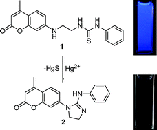 Graphical abstract: A coumarin–thiourea conjugate as a fluorescent probe for Hg(ii) in aqueous media with a broad pH range 2–12