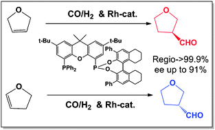 Graphical abstract: Highly enantioselective hydroformylation of dihydrofurans catalyzed by hybrid phosphine–phosphonite rhodium complexes