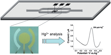 Graphical abstract: Microfabricated on-chip integrated Au–Ag–Au three-electrode system for in situ mercury ion determination