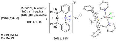 Graphical abstract: Dichlorostannylene complexes of group 10 metals, a unique bonding mode stabilized by bridging 2-pyridyldiphenylphosphine ligands