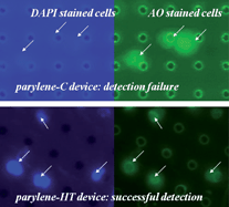 Graphical abstract: A study of the autofluorescence of parylene materials for μTAS applications
