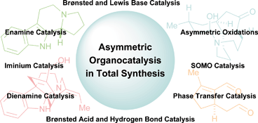 Graphical abstract: Asymmetric organocatalysis in total synthesis – a trial by fire