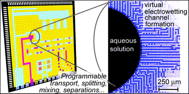 Graphical abstract: Virtual electrowetting channels: electronic liquid transport with continuous channel functionality