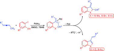 Graphical abstract: Heck reaction on protected 3-alkyl-1,2-dien-1-ols: an approach to substituted 3-alkenylindoles, 2-alkoxy-3-alkylidene-2,3-dihydrobenzofuranes and -indolidines