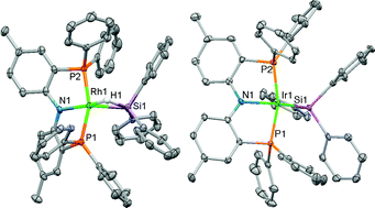 Graphical abstract: Synthesis and reactivity of rhodium and iridium alkene, alkyl and silyl complexes supported by a phenyl-substituted PNP pincer ligand