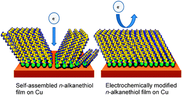 Graphical abstract: Enhancement of structural and charge-transfer barrier properties of n-alkanethiol layers on a polycrystalline copper surface by electrochemical potentiodynamic polarization