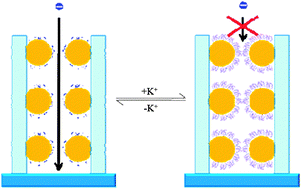 Graphical abstract: Artificial, switchable K+-gated ion channels based on flow-through titania-nanotube arrays
