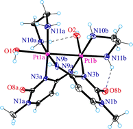 Graphical abstract: Synthesis and structures of novel 1-methylcytosinato-bridged (ethylenediamine)platinum(ii) and platinum(iii) dinuclear complexes