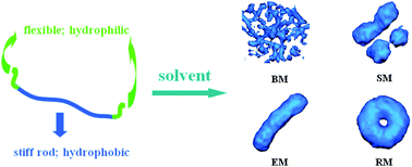 Graphical abstract: Complex micelles from the self-assembly of coil-rod-coil amphiphilic triblock copolymers in selective solvents