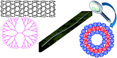 Graphical abstract: Dendrimers and nanotubes: a fruitful association