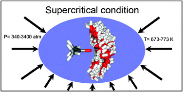 Graphical abstract: Hydrogen bond interactions between acetone and supercritical water