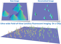 Graphical abstract: Wide field-of-view lens-free fluorescent imaging on a chip
