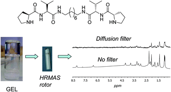 Graphical abstract: HRMAS 1H NMR as a tool for the study of supramolecular gels