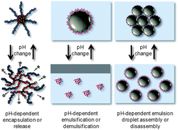 Graphical abstract: Synthesis and application of pH-responsive branched copolymer nanoparticles (PRBNs): a comparison with pH-responsive shell cross-linked micelles