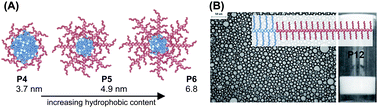 Graphical abstract: “Comb-like” non-ionic polymeric macrosurfactants