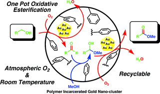 Graphical abstract: Aerobic oxidative esterification of alcohols catalyzed by polymer-incarcerated gold nanoclusters under ambient conditions
