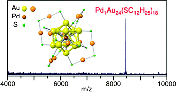 Graphical abstract: Isolation, structure, and stability of a dodecanethiolate-protected Pd1Au24 cluster
