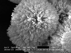 Graphical abstract: Synthesis of urchin-like CdWO4 microspheres via a facile template free hydrothermal method