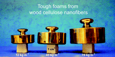 Graphical abstract: Mechanical performance tailoring of tough ultra-high porosity foams prepared from cellulose I nanofiber suspensions