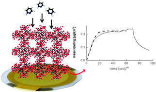 Graphical abstract: A novel method to measure diffusion coefficients in porous metal–organic frameworks