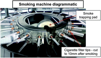 Graphical abstract: Quantification of four tobacco-specific nitrosamines in cigarette filter tips using liquid chromatography-tandem mass spectrometry