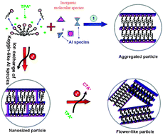 Graphical abstract: From ill-resolved atomic to ZSM-5 type of ordering in mesoporous lamellar aluminosilica nanoparticles