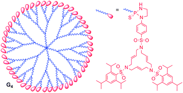 Graphical abstract: An efficient synthesis combining phosphorus dendrimers and 15-membered triolefinic azamacrocycles: towards the stabilization of platinum nanoparticles