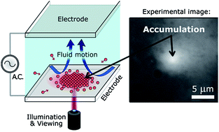 Graphical abstract: A simple, optically induced electrokinetic method to concentrate and pattern nanoparticles