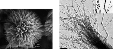 Graphical abstract: Formation mechanism of silver nanoparticle 1D microstructures and their hierarchical assembly into 3D superstructures