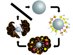 Graphical abstract: Mechanised nanoparticles for drug delivery