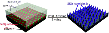 Graphical abstract: Nanostructure formation via print diffusion etching through block copolymer templates