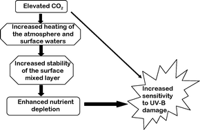 Graphical abstract: Interactions between the impacts of ultraviolet radiation, elevated CO2, and nutrient limitation on marine primary producers