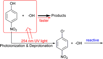 Graphical abstract: Role of primary reaction initiated by 254 nm UV light in the degradation of p-nitrophenol attacked by hydroxyl radicals