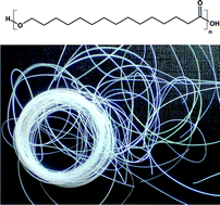 Graphical abstract: Performance polymers from renewable monomers: high molecular weight poly(pentadecalactone) for fiber applications