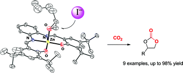 Graphical abstract: Efficient carbonate synthesis under mild conditions through cycloaddition of carbon dioxide to oxiranes using a Zn(salphen) catalyst