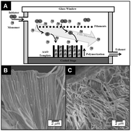 Graphical abstract: Highly swellable free-standing hydrogel nanotube forests