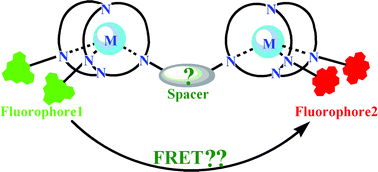Graphical abstract: Role of spacer in single- or two-step FRET: studies in the presence of two connected cryptands with properly chosen fluorophores