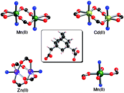 Graphical abstract: Structural diversity in a series of metal–organic frameworks (MOFs) composed of divalent transition metals, 4,4′-bipyridine and a flexible carboxylic acid